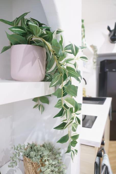 Apartament La Casa Del Chic Cabestany Zewnętrze zdjęcie